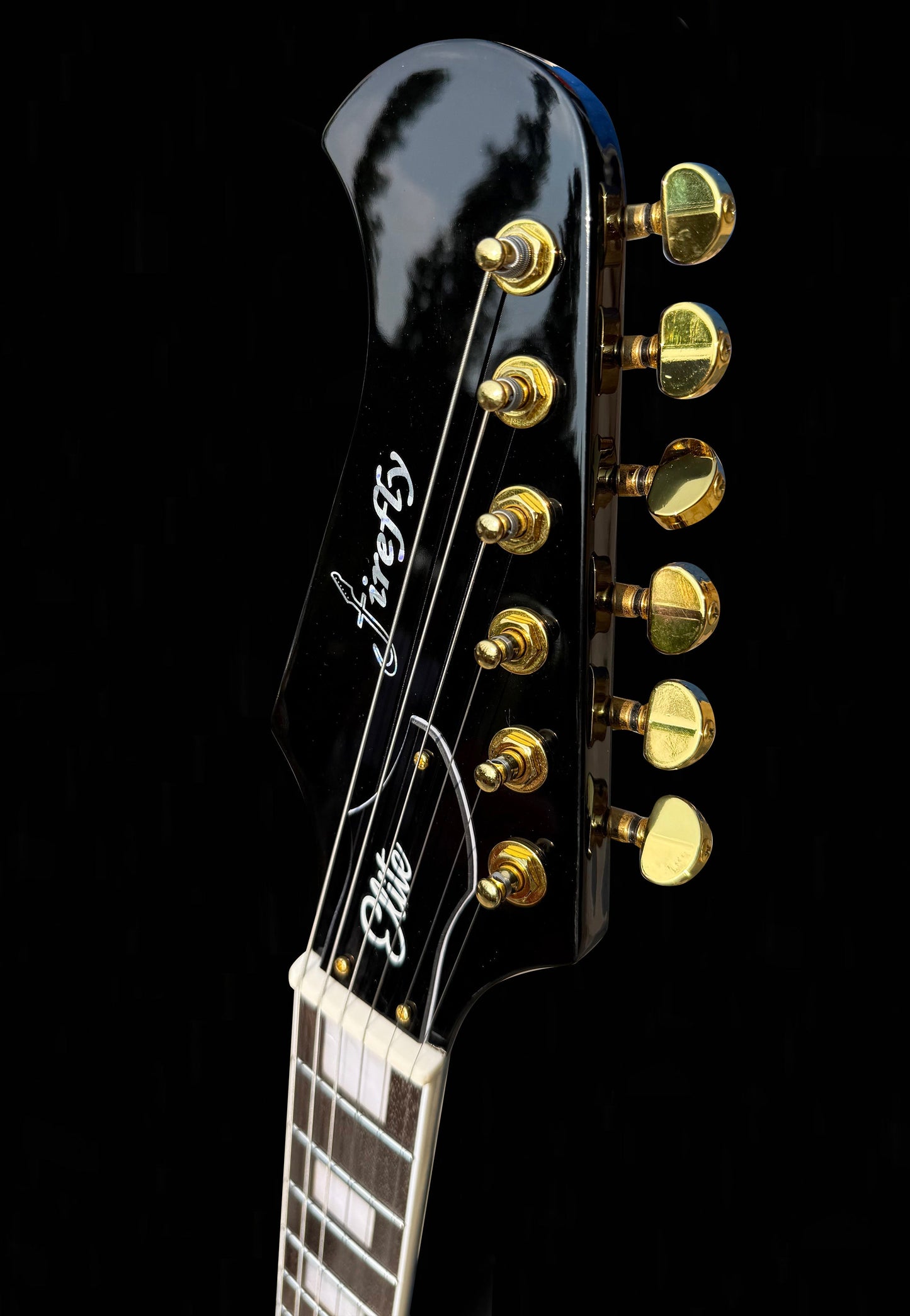 NEW Firefly FFDB Electric Guitar (Black Color)